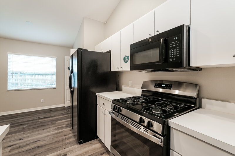 2,205/Mo, 24605 Laurel Ridge Dr Lutz, FL 33559 Kitchen View