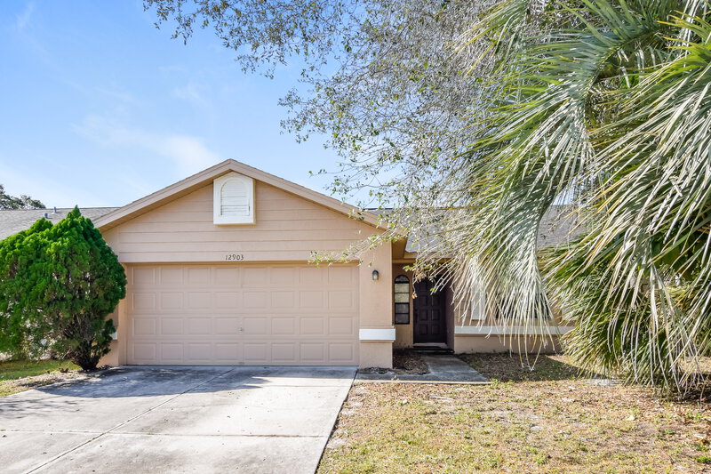 2,730/Mo, 12903 Tikiwood Ct Riverview, FL 33579 External View