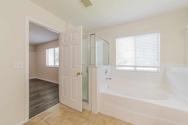 2,315/Mo, 10803 Summerton Dr Riverview, FL 33579 Main Bathroom View 2