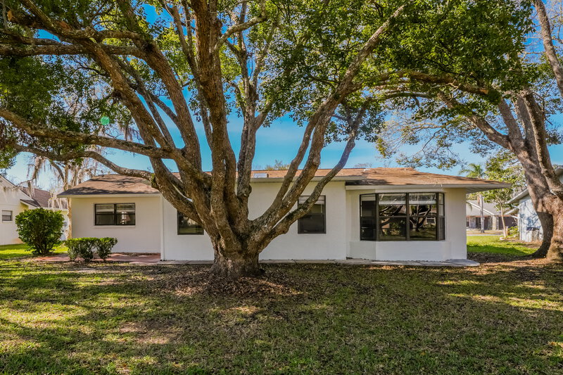 2,050/Mo, 3638 Montclair Dr New Port Richey, FL 34655 Rear View