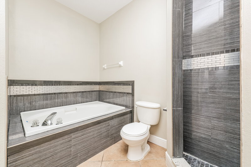 2,195/Mo, 13212 Cherry Bark Cir Riverview, FL 33579 Main Bathroom View 2