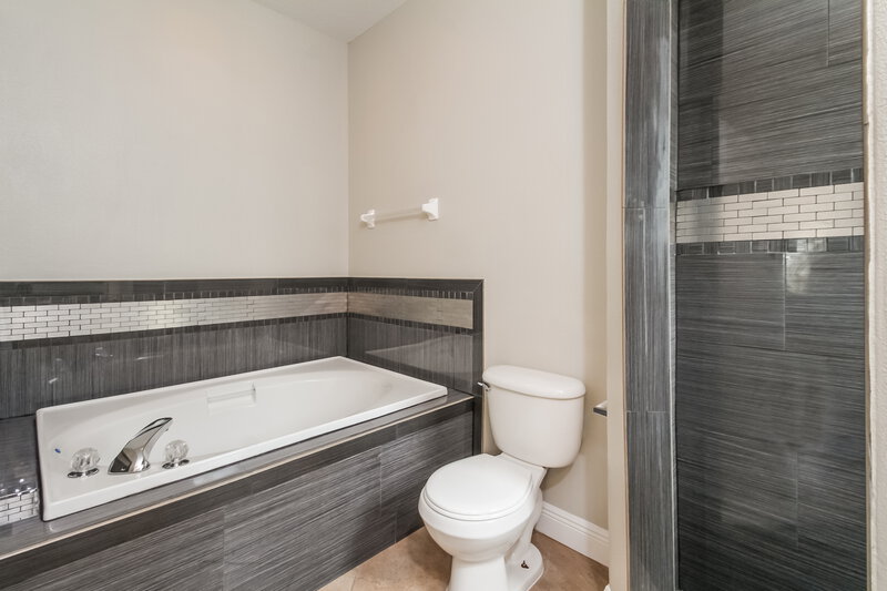 3,480/Mo, 13212 Cherry Bark Cir Riverview, FL 33579 Master Bathroom View 2