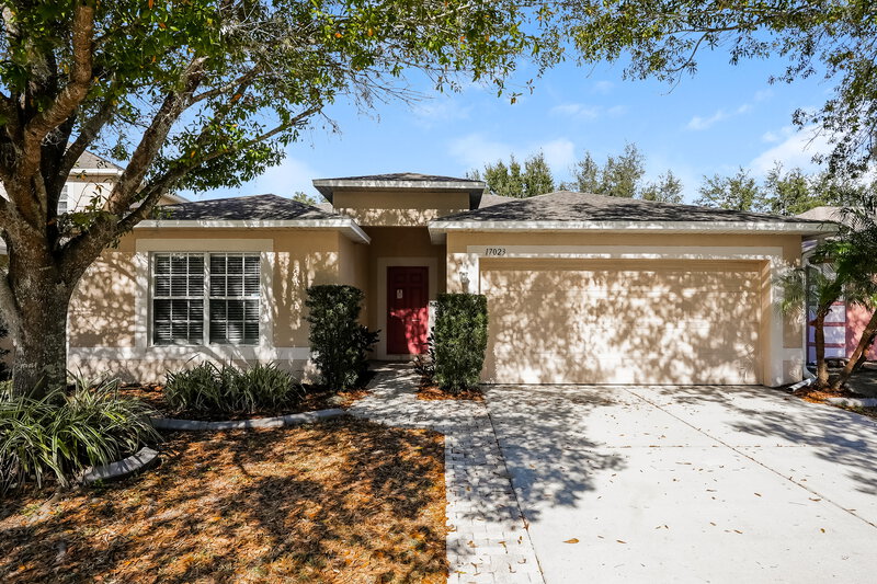 2,500/Mo, 17023 Torvest Ct Land O' Lakes, FL 34638 External View