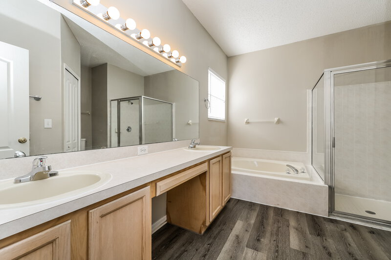 2,280/Mo, 22820 Marsh Wren Dr Land O Lakes, FL 34639 Main Bathroom View