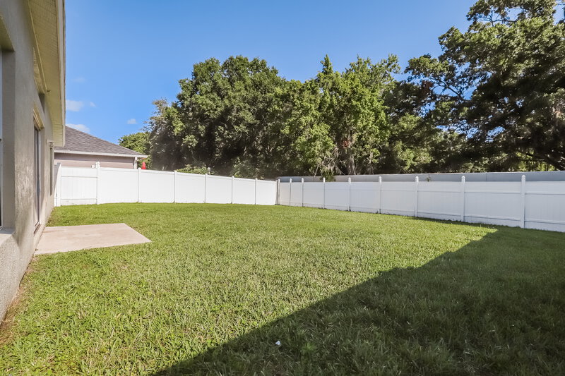 2,180/Mo, 26911 Affirmed Dr Wesley Chapel, FL 33544 Rear View