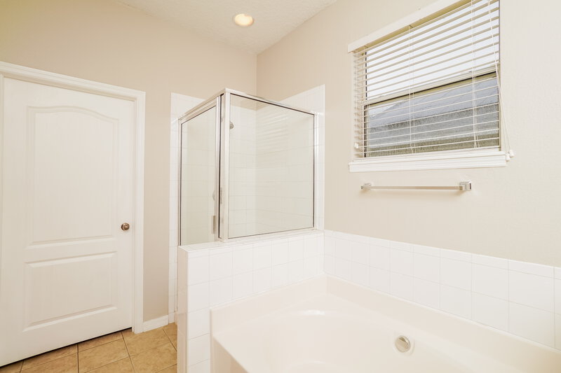 2,110/Mo, 12212 Colony Lakes Blvd New Port Richey, FL 34654 Main Bathroom View