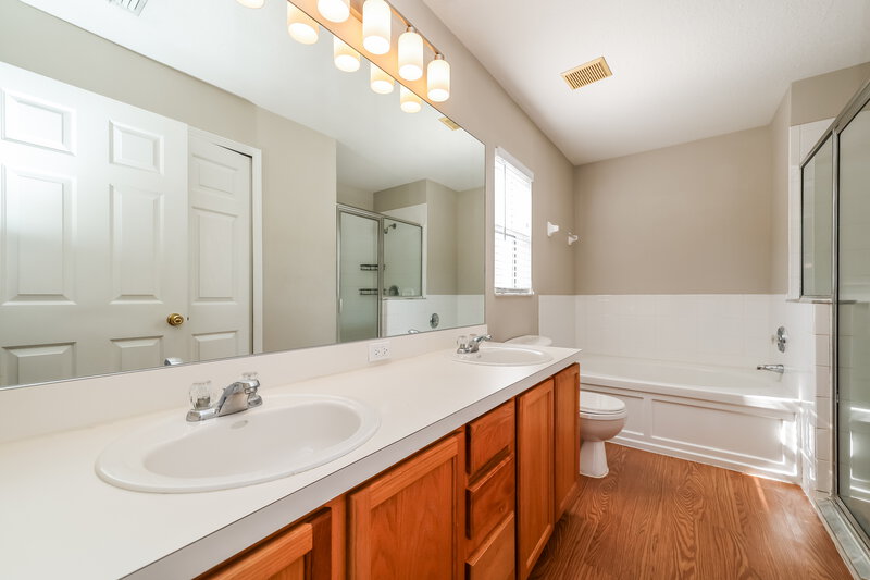 2,045/Mo, 12008 Butler Woods Cir Riverview, FL 33579 Main Bathroom View