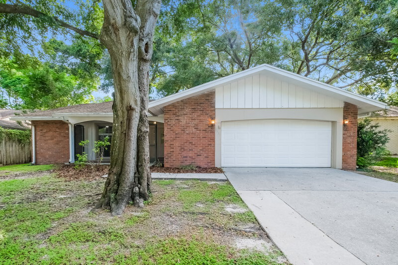 0/Mo, 2431 Grove Ridge Dr Palm Harbor, FL 34683 External View