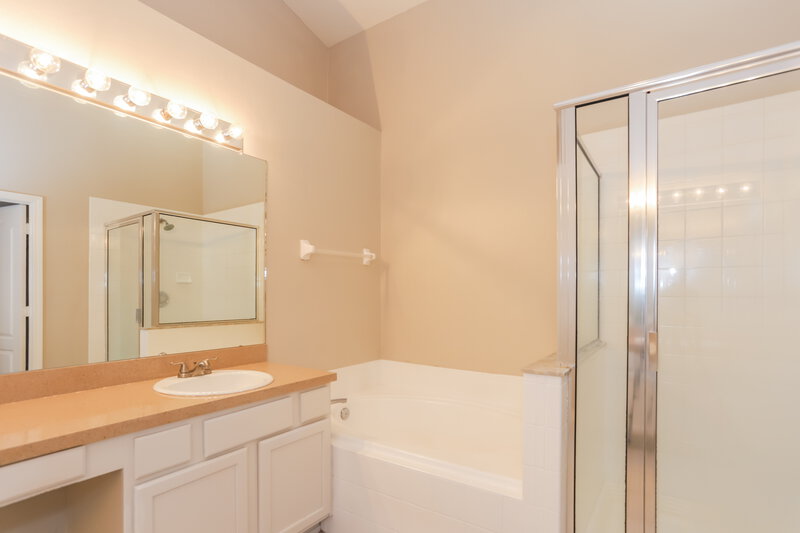 2,475/Mo, 13224 Early Run Ln Riverview, FL 33578 Main Bathroom View