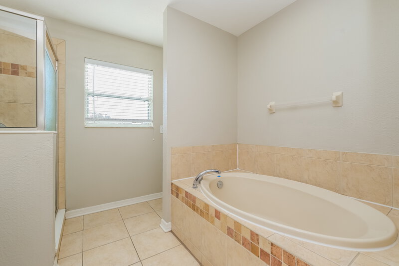 2,310/Mo, 7919 Citrus Blossom Dr Land O Lakes, FL 34637 Main Bathroom View 2