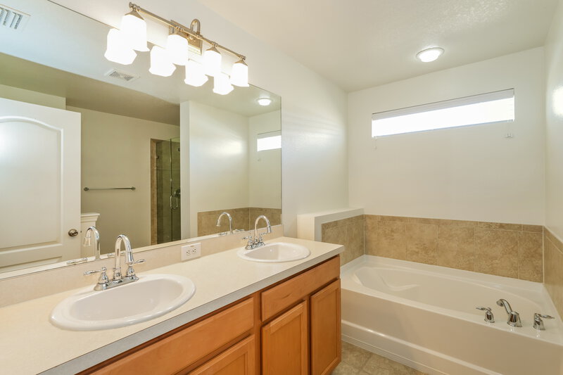 2,100/Mo, 1114 Beech Grove Place Ruskin, FL 33570 Main Bathroom View