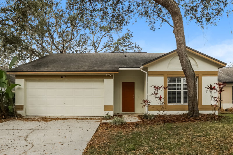 2,115/Mo, 4017 Levonshire Place Valrico, FL 33596 External View