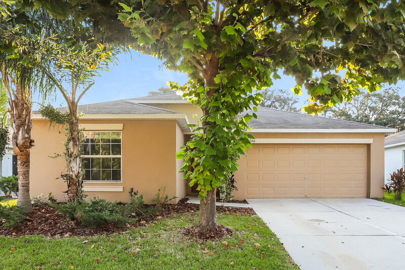 2,225/Mo, 10260 Strawberry Tetra Dr Riverview, FL 33578 External View
