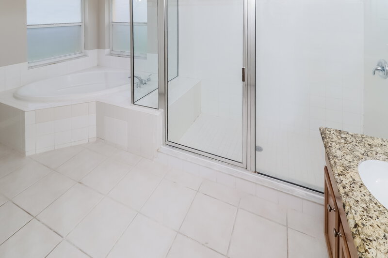 3,220/Mo, 19234 Fishermans Bend Dr Lutz, FL 33558 Main Bathroom View
