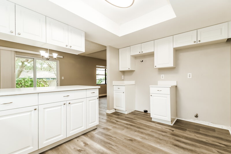 2,095/Mo, 3819 Briarbrook Pl Land O Lakes, FL 34639 Kitchen View 2