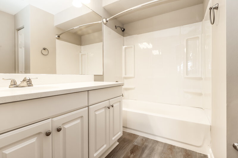 2,095/Mo, 3819 Briarbrook Pl Land O Lakes, FL 34639 Bathroom View