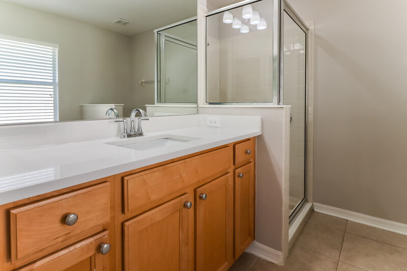 2,020/Mo, 7124 Kendall Heath Way Land O Lakes, FL 34637 Main Bathroom View
