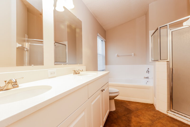 2,550/Mo, 29611 Birds Eye Dr Wesley Chapel, FL 33543 Main Bathroom View