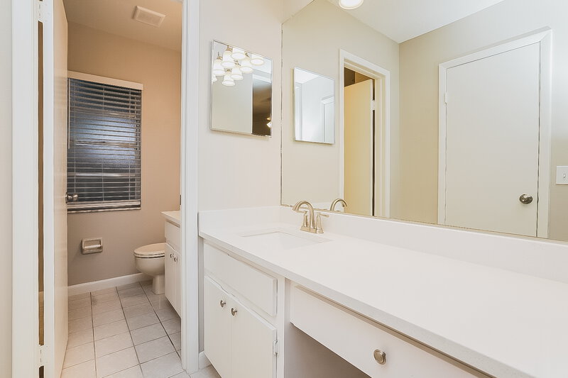 2,270/Mo, 24734 Silversmith Dr Lutz, FL 33559 Main Bathroom View