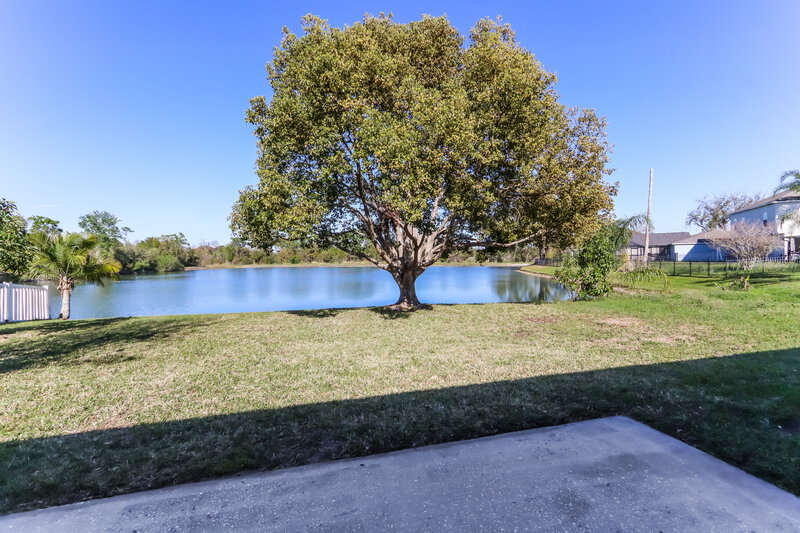 1,990/Mo, 31735 Loch Aline Dr Wesley Chapel, FL 33545 Backyard View