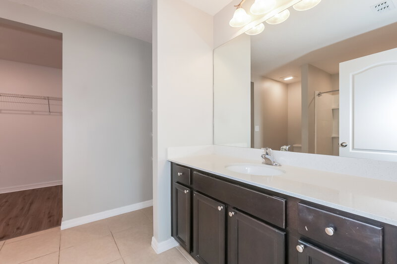 1,980/Mo, 1714 Chatham Green Cir Ruskin, FL 33570 Main Bathroom View