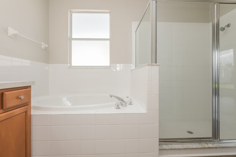 2,290/Mo, 13738 Ogakor Dr Riverview, FL 33579 Main Bathroom View 2