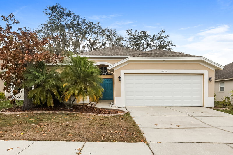 2,035/Mo, 2524 Gotham Way Valrico, FL 33596 External View