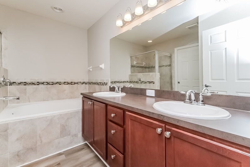 1,975/Mo, 1223 Sheridan Bay Dr Ruskin, FL 33570 Main Bathroom View