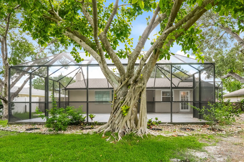 2,725/Mo, 412 Lakeview Dr Oldsmar, FL 34677 Rear View 2