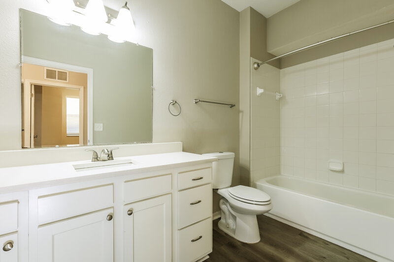 2,320/Mo, 6707 Cambridge Park Dr Apollo Beach, FL 33572 Main Bathroom View