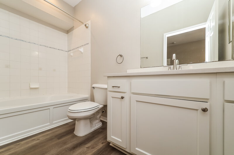2,295/Mo, 6707 Cambridge Park Dr Apollo Beach, FL 33572 Main Bathroom View