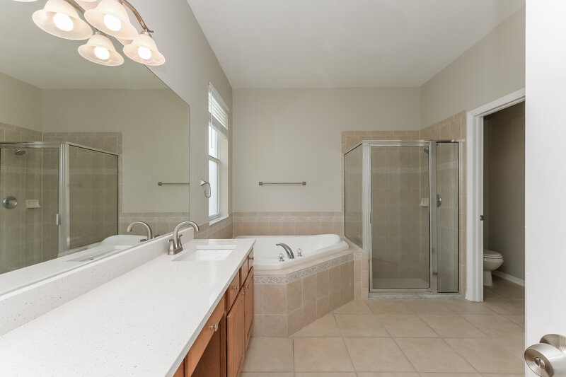 2,770/Mo, 17730 Ayrshire Blvd Land O Lakes, FL 34638 Main Bathroom View