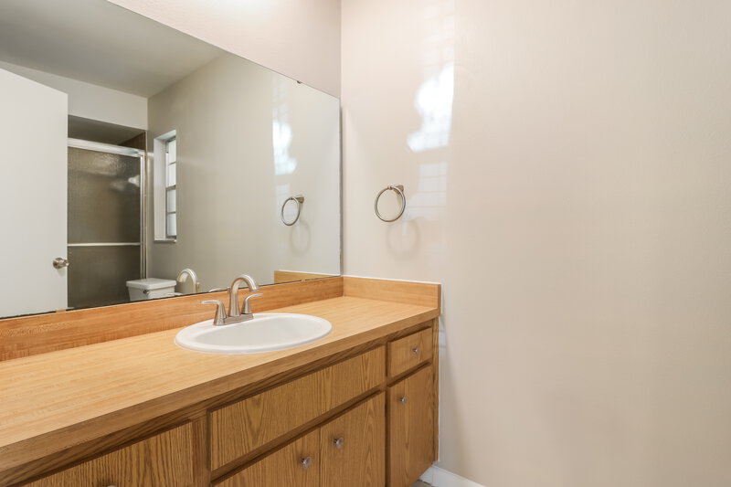 2,405/Mo, 17507 Cranbrook Dr Lutz, FL 33549 Main Bathroom View