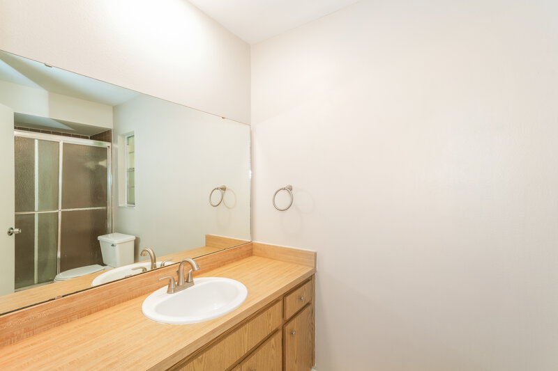 2,285/Mo, 17507 Cranbrook Dr Lutz, FL 33549 Main Bathroom View