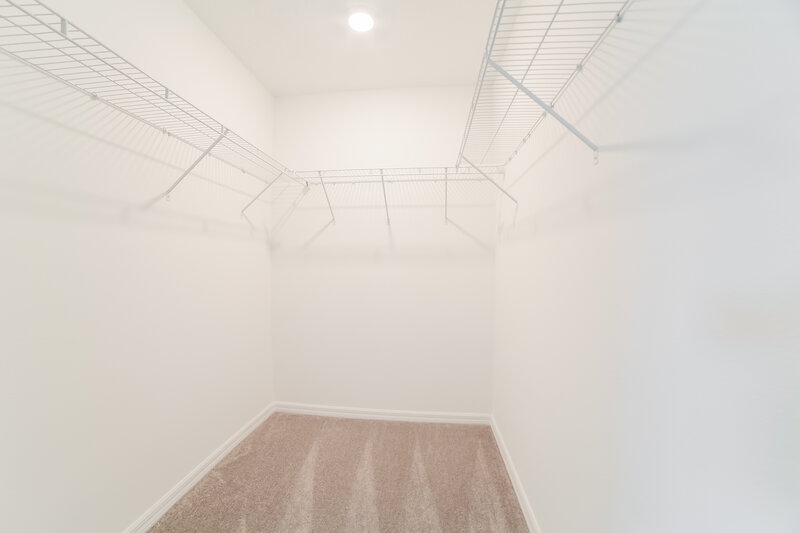 2,530/Mo, 7302 Spring Snowflake Ave Tampa, FL 33619 Walk In Closet View