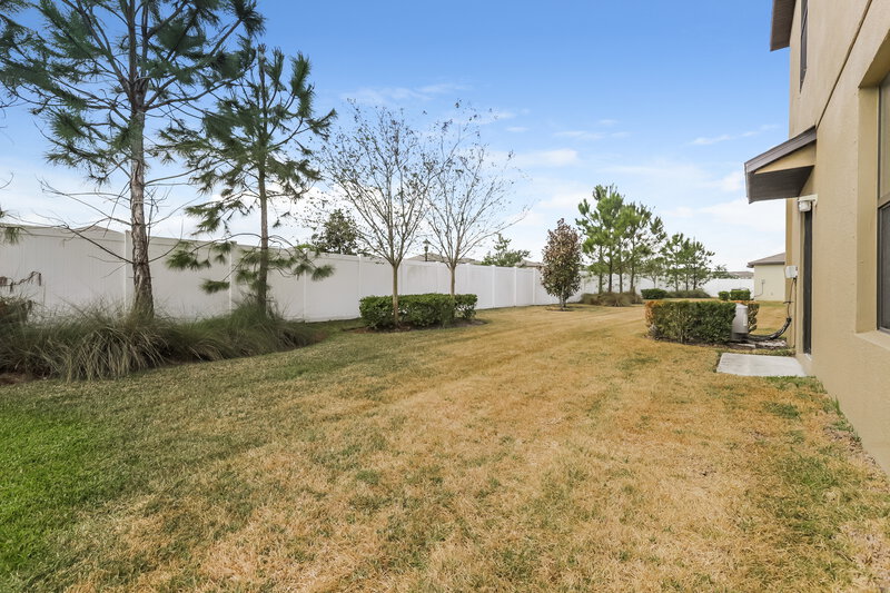 2,890/Mo, 4223 Globe Thistle Dr Tampa, FL 33619 Rear View