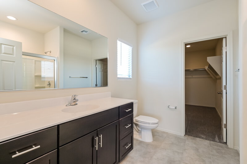 2,180/Mo, 824 W Calle Falerno Sahuarita, AZ 85629 Main Bathroom View 3