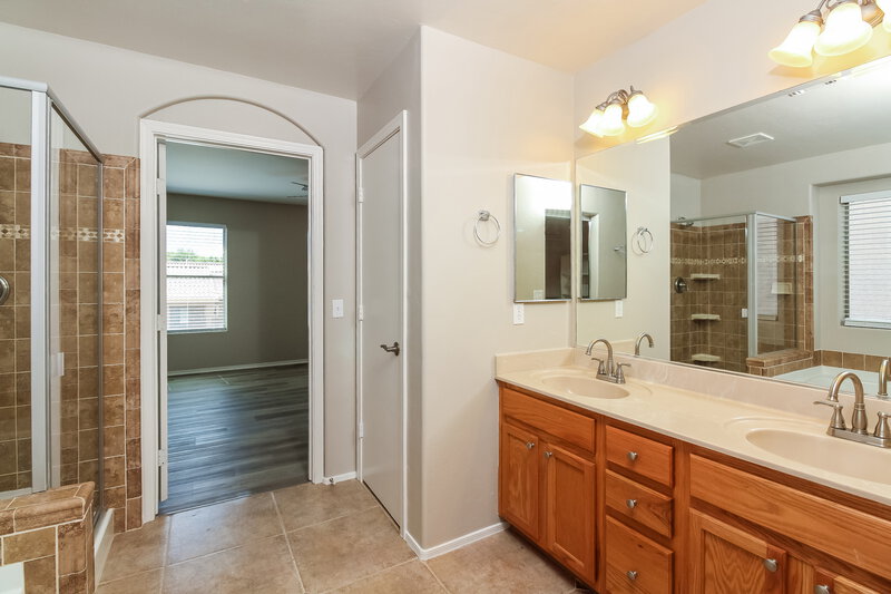 2,015/Mo, 60333 E Blackcrest Loop Saddlebrooke, AZ 85739 Main Bathroom View