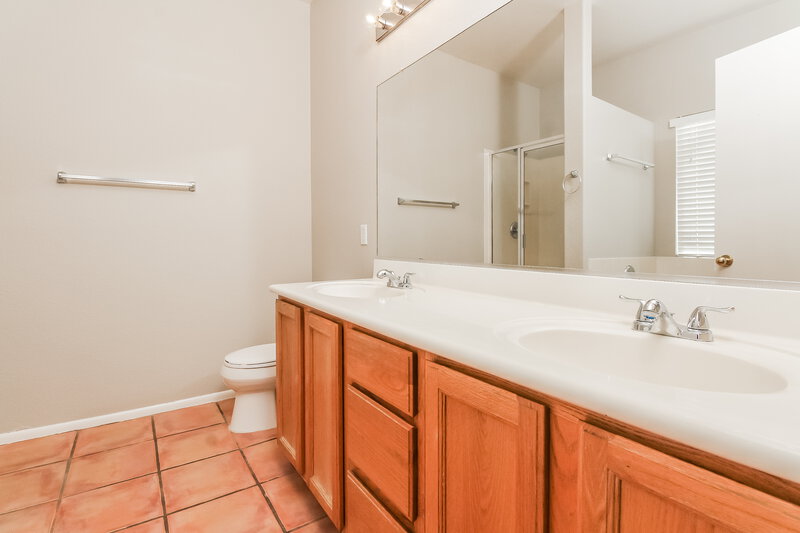 1,790/Mo, 7299 W Clear Canyon Dr Tucson, AZ 85743 Bathroom View
