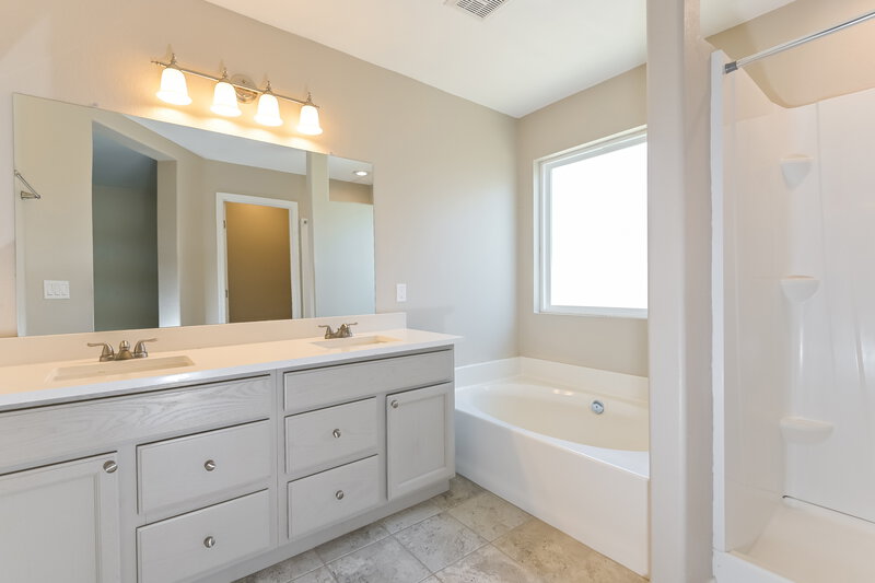 2,035/Mo, 10029 E Moonstruck Way Tucson, AZ 85747 Main Bathroom View