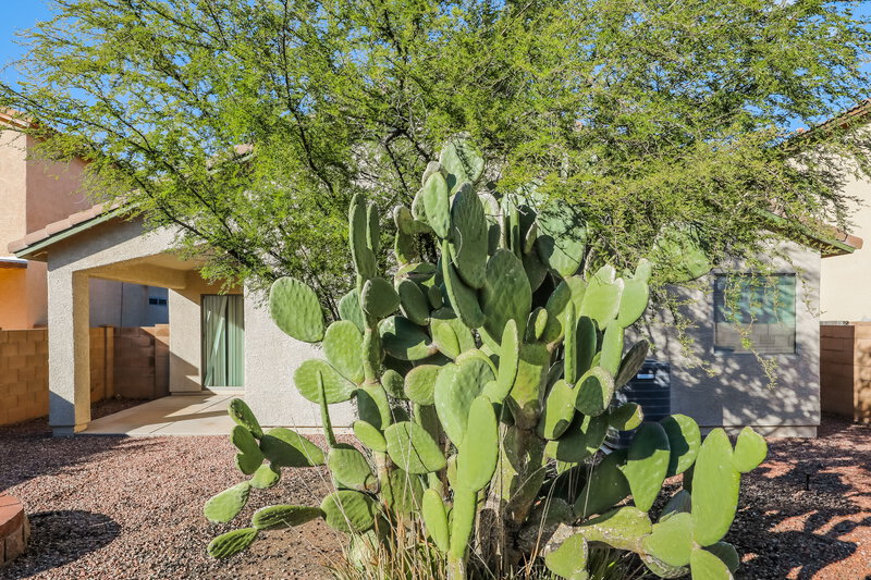 1,765/Mo, 6737 W Greenland Ct Tucson, AZ 85757 Rear View