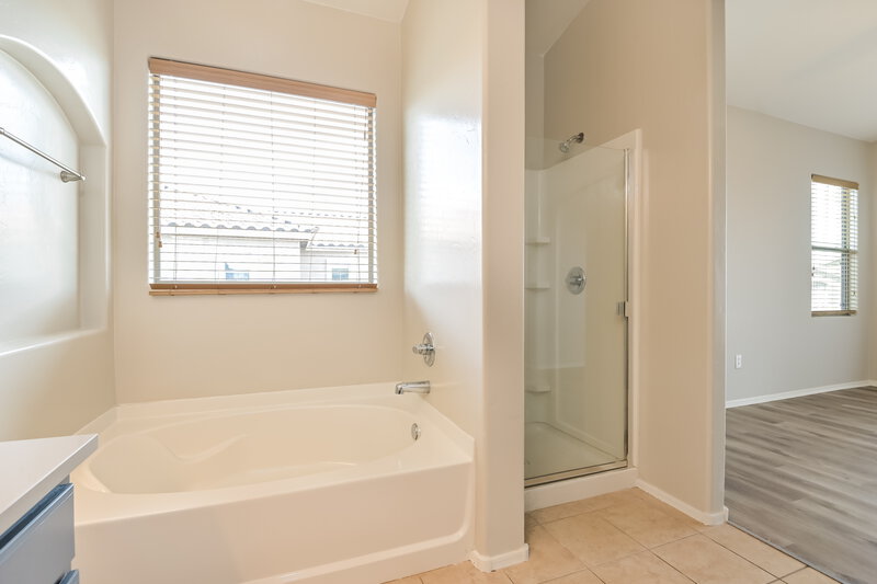 2,085/Mo, 60 W Calle Gota Sahuarita, AZ 85629 Main Bathroom View