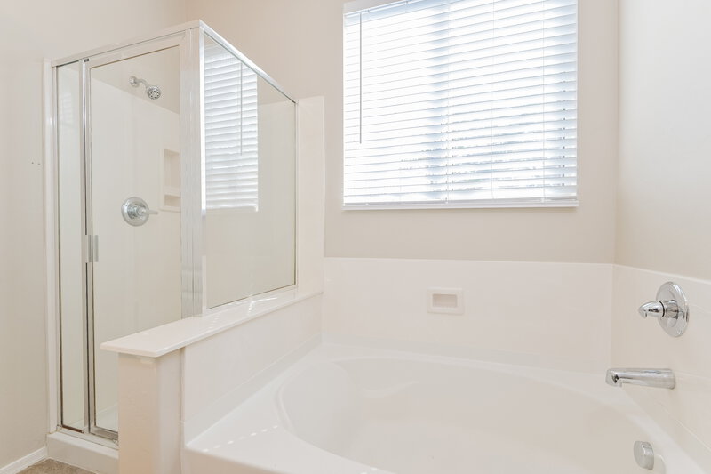 1,985/Mo, 498 W Vuelta Friso Sahuarita, AZ 85629 Main Bathroom View 2