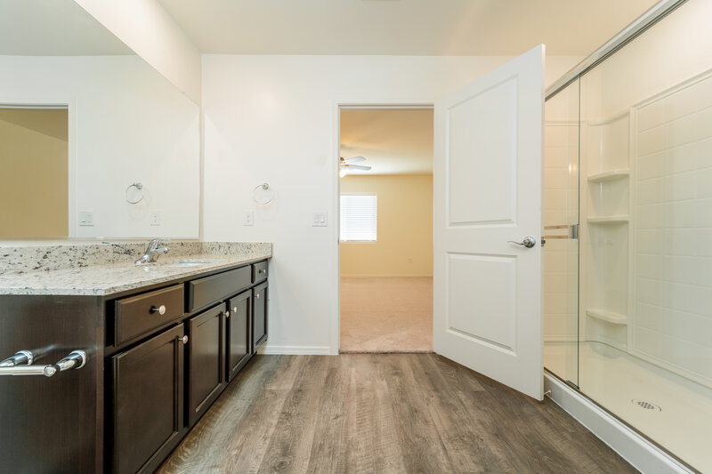 1,960/Mo, 12835 N Peony Dr Marana, AZ 85653 Main Bathroom View 2