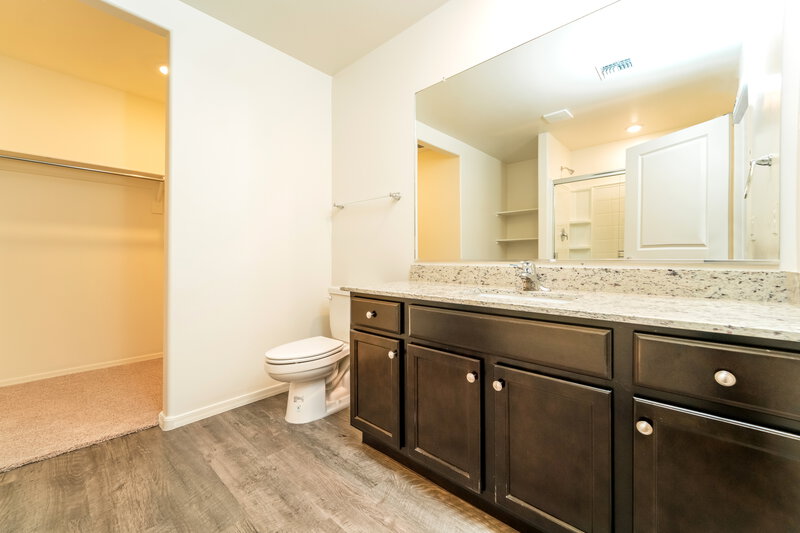 1,960/Mo, 12835 N Peony Dr Marana, AZ 85653 Bathroom View