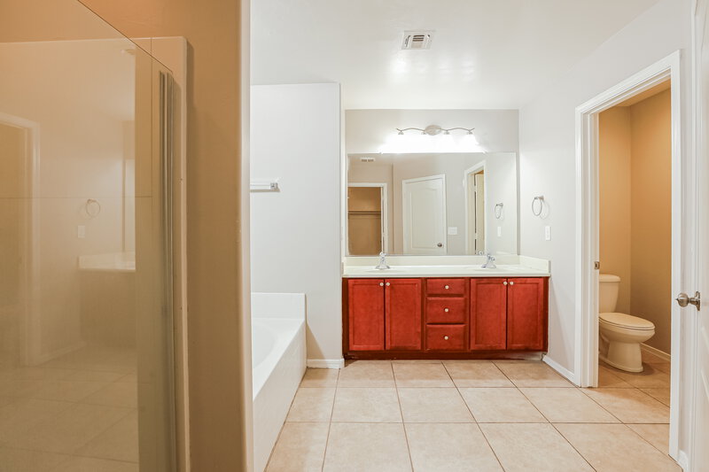 2,420/Mo, 6721 S May Fly Dr Tucson, AZ 85757 Main Bathroom View