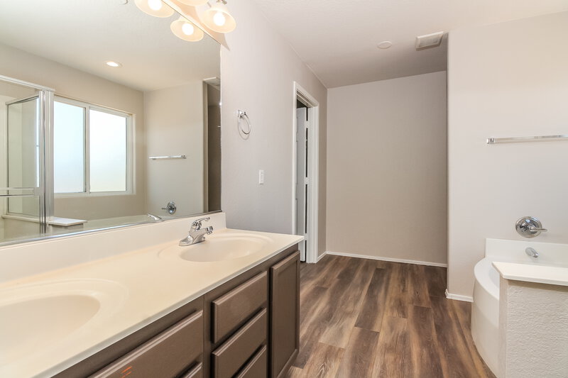 2,845/Mo, 13181 N Deergrass Dr Oro Valley, AZ 85755 Main Bathroom View