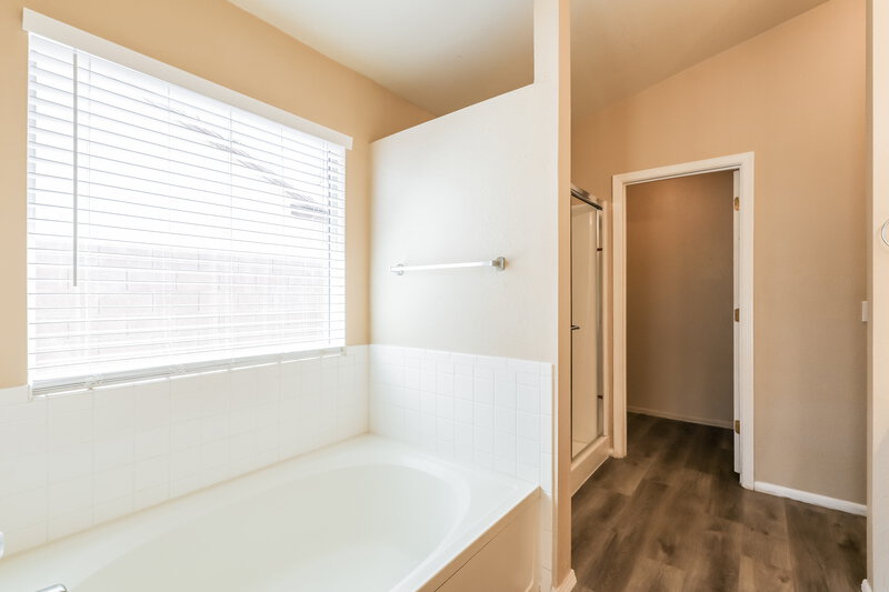 1,835/Mo, 9151 E Autumn Sage St Tucson, AZ 85747 Main Bathroom View 2